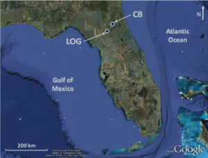 Measurements of Radiation Field Signatures of Rocket-Triggered Lightning